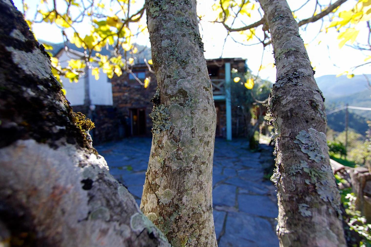 Casa Da Figueira - Rio Paiva Villa Arouca Dış mekan fotoğraf