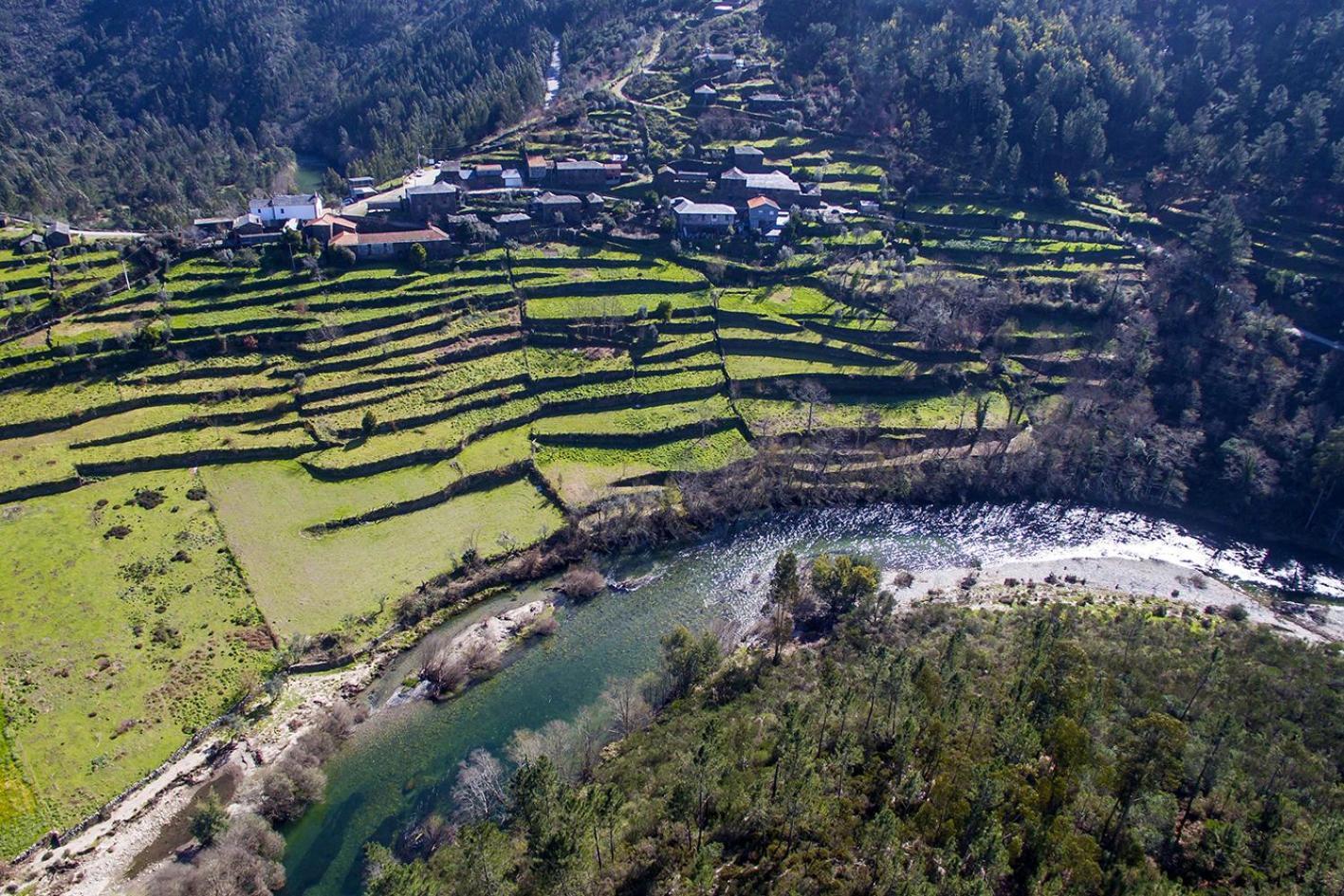 Casa Da Figueira - Rio Paiva Villa Arouca Dış mekan fotoğraf