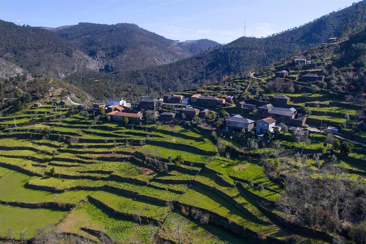 Casa Da Figueira - Rio Paiva Villa Arouca Dış mekan fotoğraf