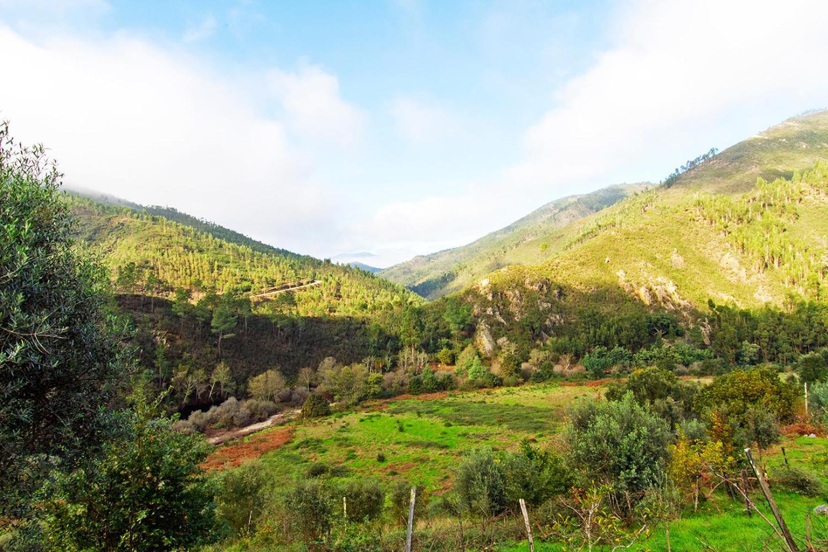 Casa Da Figueira - Rio Paiva Villa Arouca Dış mekan fotoğraf