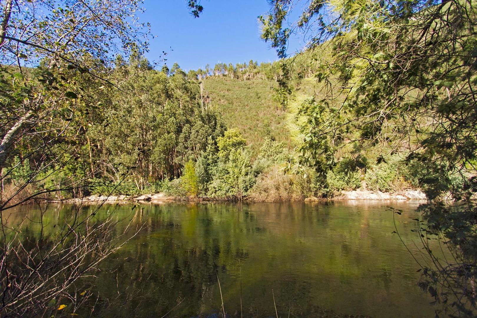 Casa Da Figueira - Rio Paiva Villa Arouca Dış mekan fotoğraf