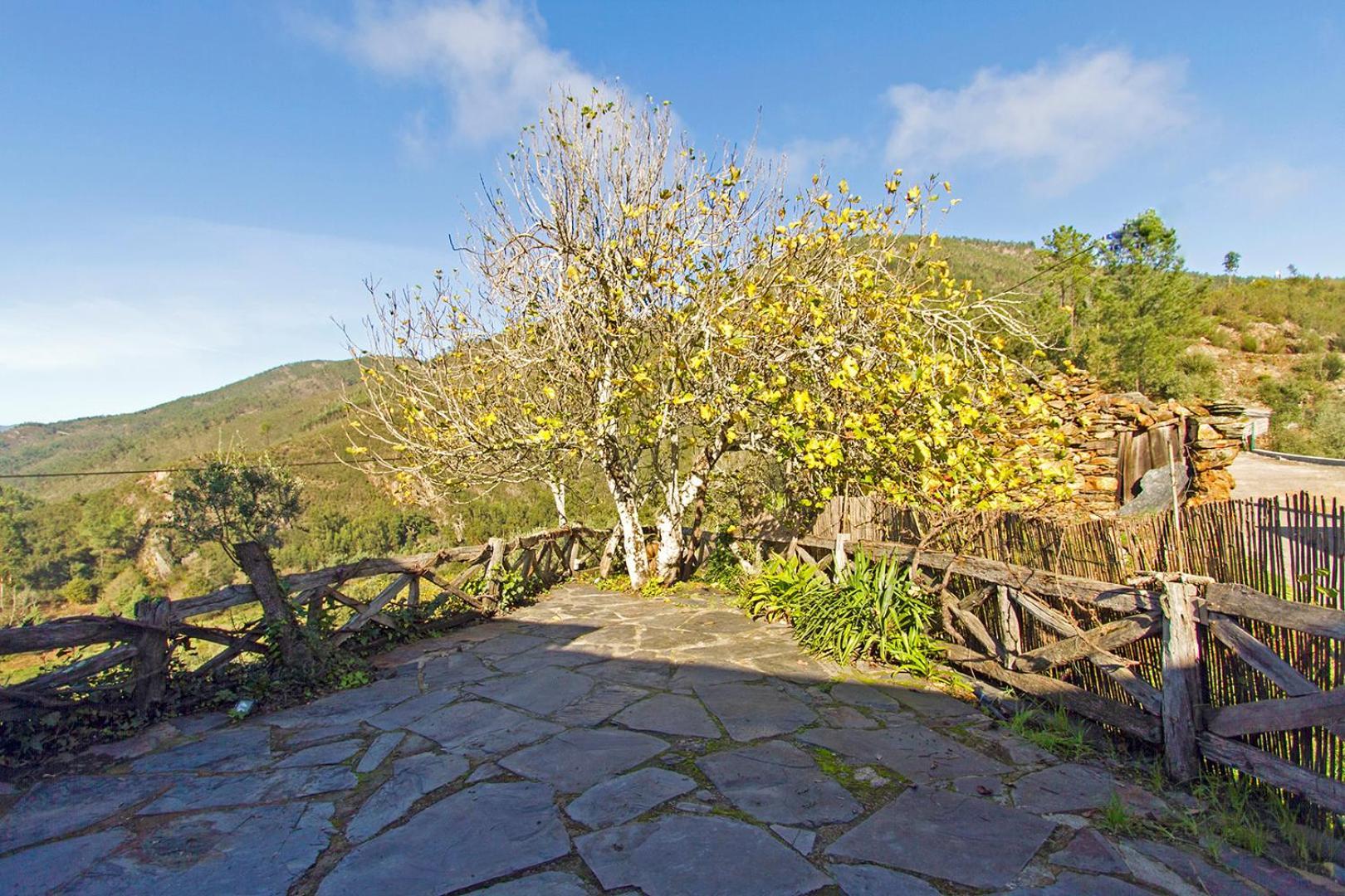 Casa Da Figueira - Rio Paiva Villa Arouca Dış mekan fotoğraf